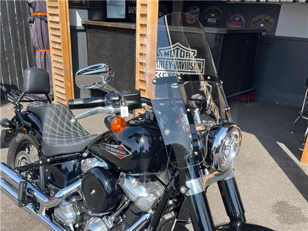2021 Harley-Davidson Softail