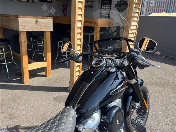 2021 Harley-Davidson Softail