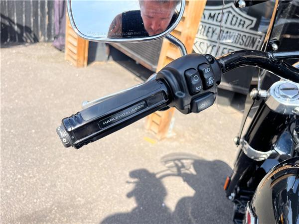 2021 Harley-Davidson Softail