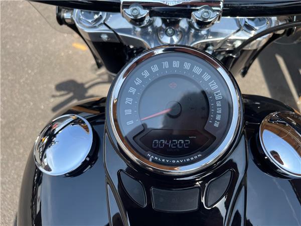 2021 Harley-Davidson Softail