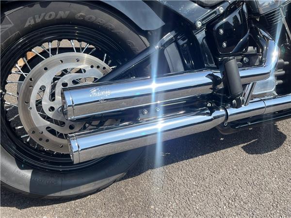 2021 Harley-Davidson Softail