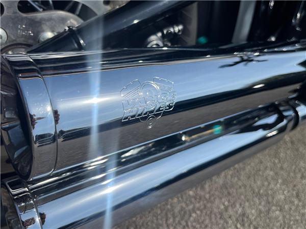 2021 Harley-Davidson Softail