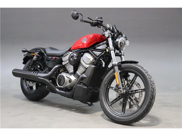 2025 HARLEY-DAVIDSON NIGHTSTER 975