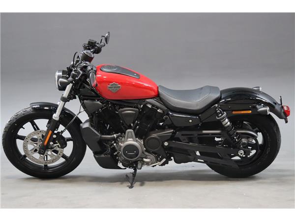 2025 HARLEY-DAVIDSON NIGHTSTER 975