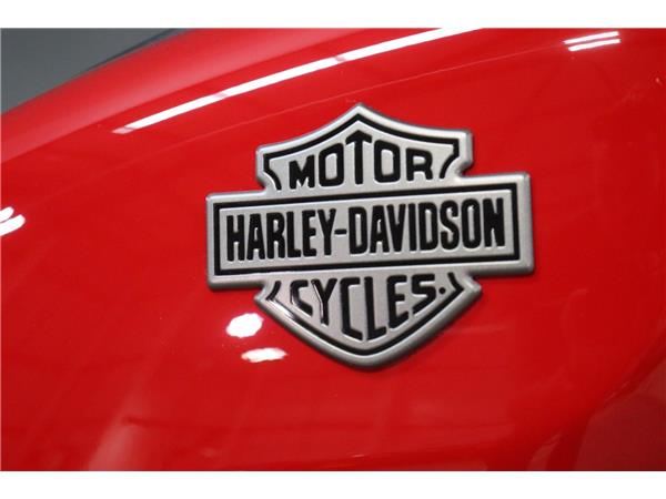 2025 HARLEY-DAVIDSON NIGHTSTER 975