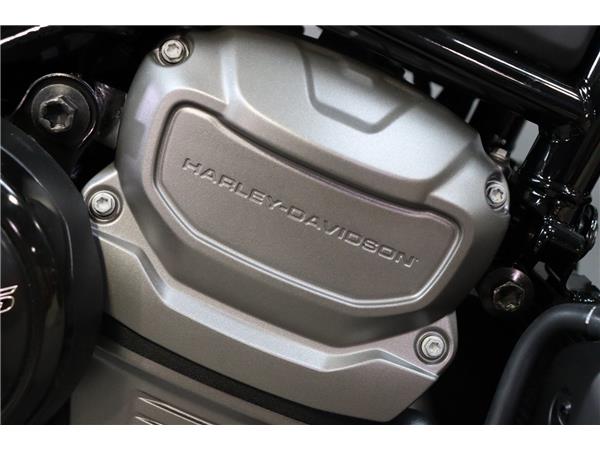 2025 HARLEY-DAVIDSON NIGHTSTER 975