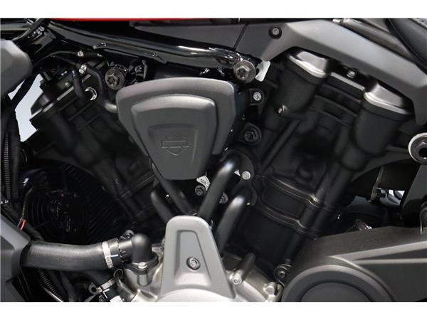 2025 HARLEY-DAVIDSON NIGHTSTER 975