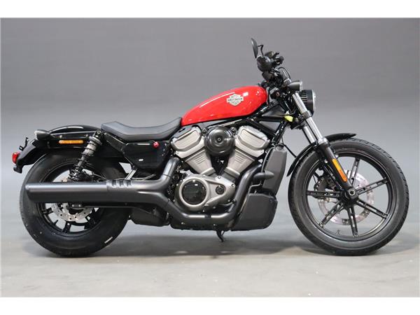 2025 HARLEY-DAVIDSON NIGHTSTER 975