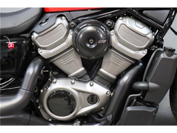 2025 HARLEY-DAVIDSON NIGHTSTER 975