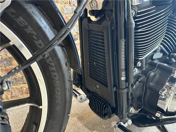 2021 Harley-Davidson Softail