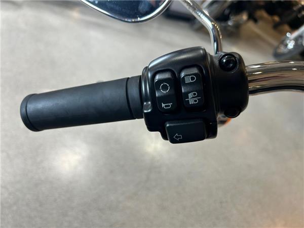 2021 Harley-Davidson Softail