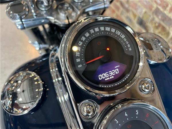 2021 Harley-Davidson Softail