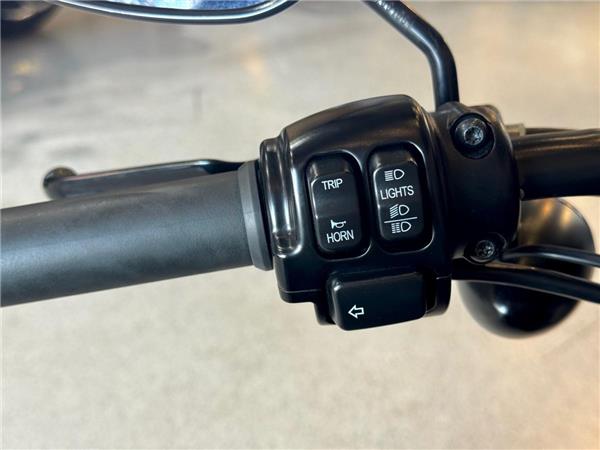 2015 Harley-Davidson 19HD-XL883L