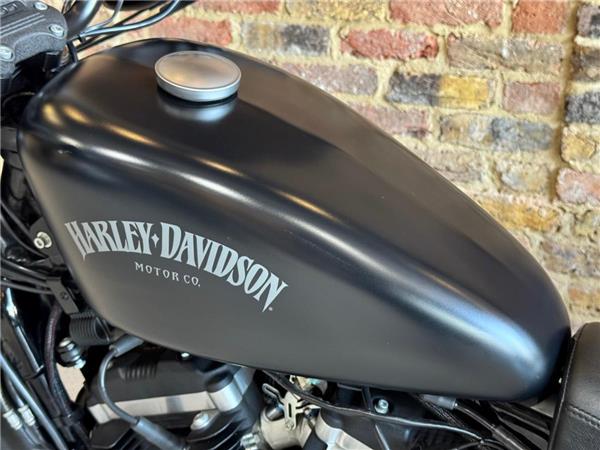 2015 Harley-Davidson 19HD-XL883L