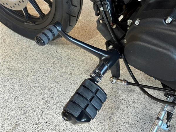 2015 Harley-Davidson 19HD-XL883L