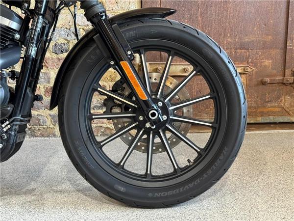 2015 Harley-Davidson 19HD-XL883L