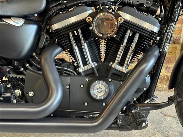 2015 Harley-Davidson 19HD-XL883L
