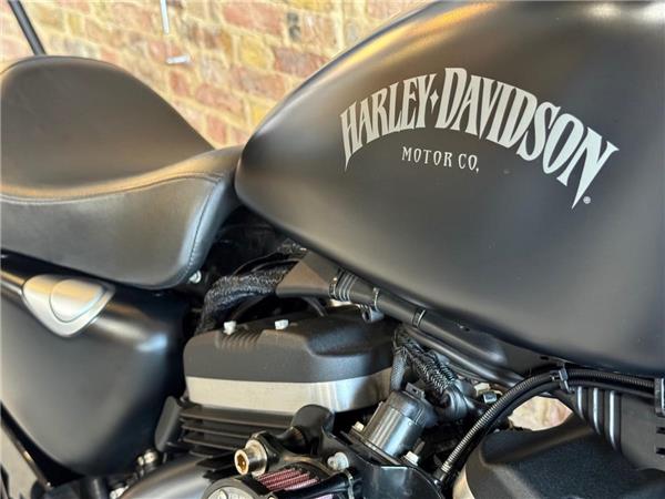 2015 Harley-Davidson 19HD-XL883L