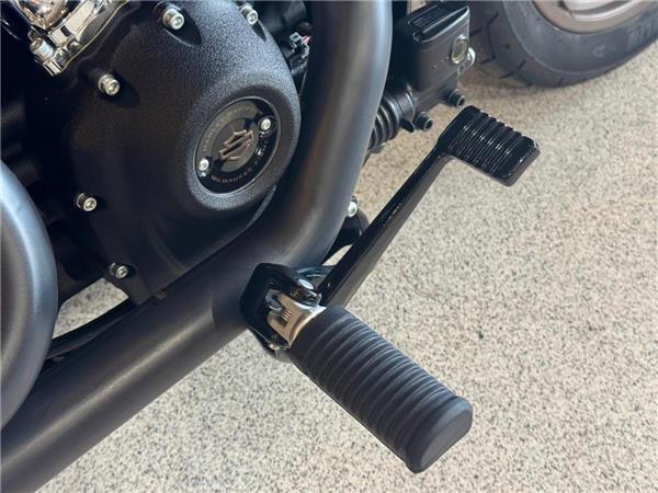 2024 Harley-Davidson Softail