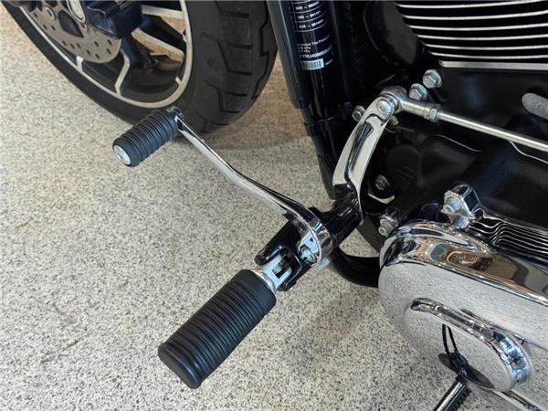 2021 Harley-Davidson Softail