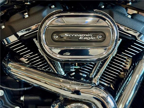 2021 Harley-Davidson Softail