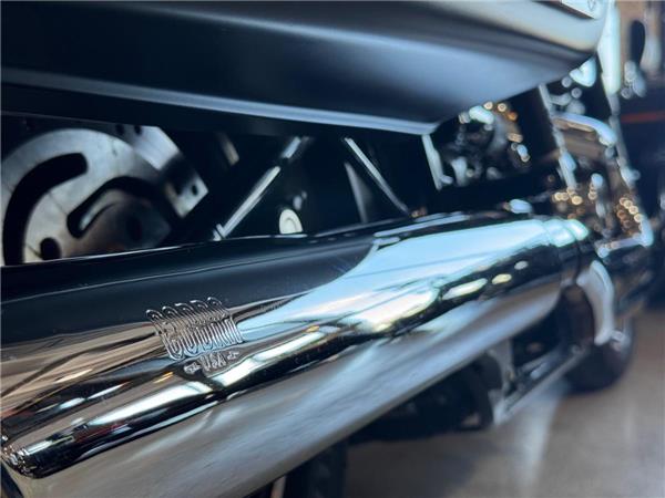 2021 Harley-Davidson Softail
