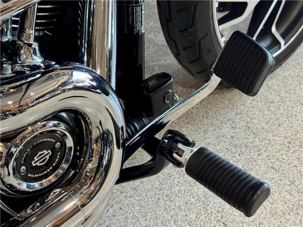 2021 Harley-Davidson Softail