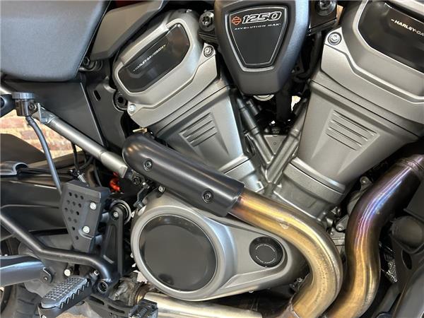 2024 Harley-Davidson Pan America Special
