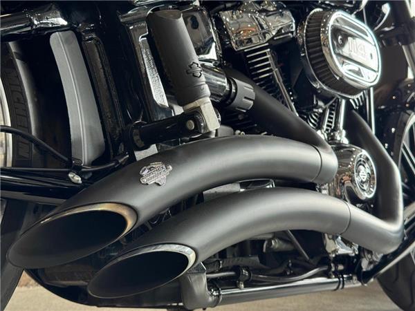 2022 Harley-Davidson Softail