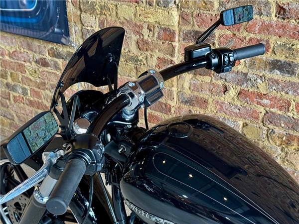 2022 Harley-Davidson Softail