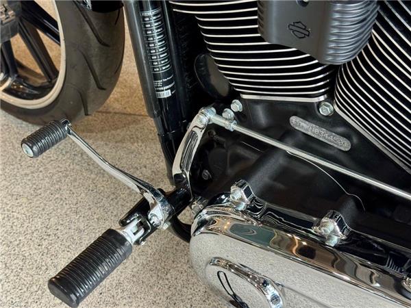 2022 Harley-Davidson Softail