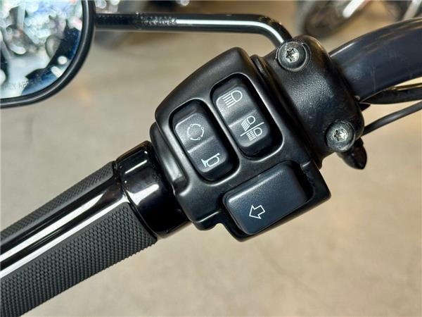 2021 Harley-Davidson Sportster