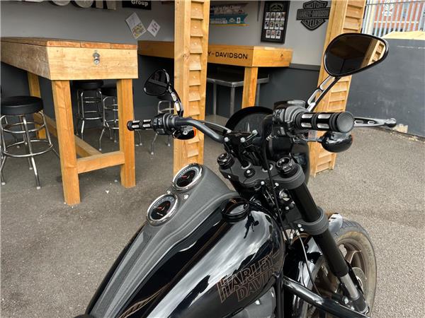2020 Harley-Davidson Softail