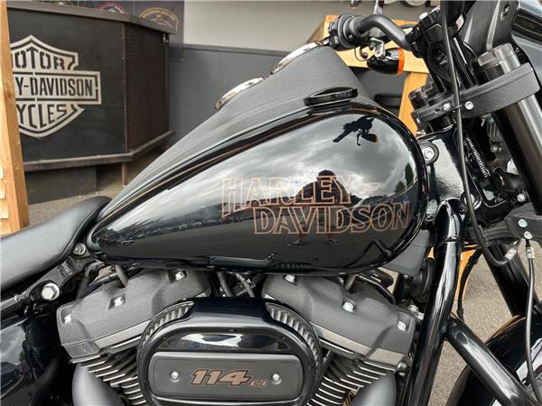 2020 Harley-Davidson Softail
