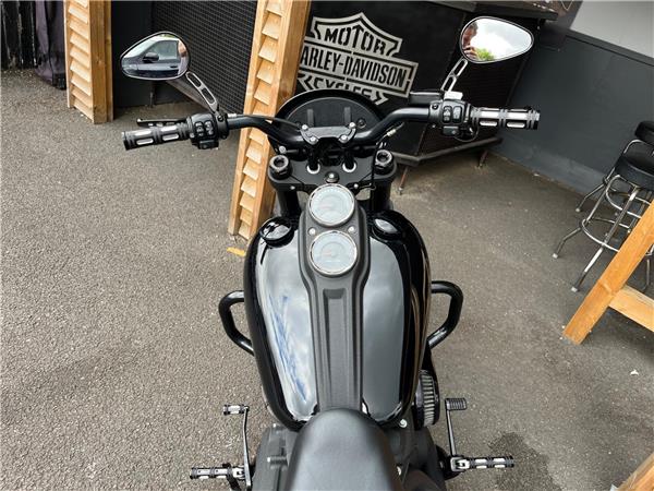 2020 Harley-Davidson Softail