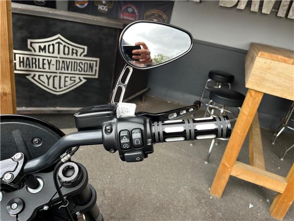 2020 Harley-Davidson Softail