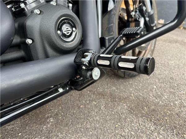 2020 Harley-Davidson Softail