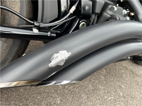 2020 Harley-Davidson Softail
