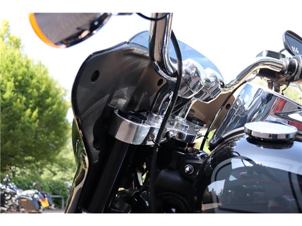 2022 HARLEY-DAVIDSON SOFTAIL FLSB SPORT GLIDE