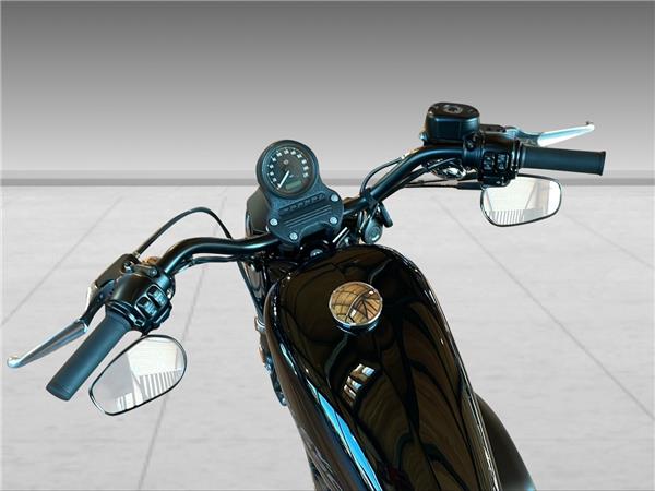 2015 harley-davidson XL 883 R Sportster Roadster ABS