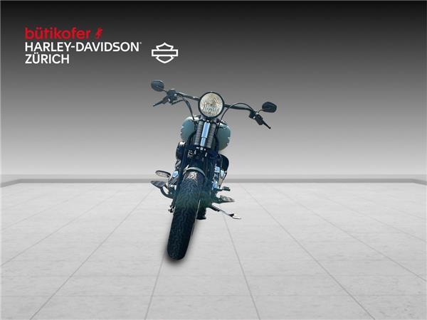 2009 harley-davidson FLSTSB Cross Bones