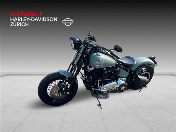 2009 harley-davidson FLSTSB Cross Bones