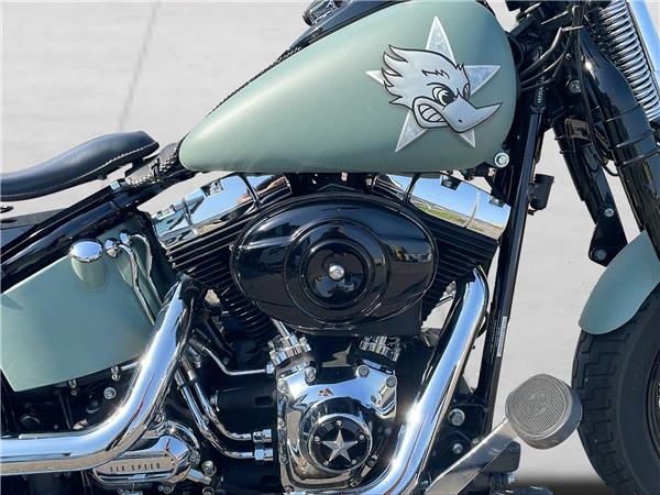 2009 harley-davidson FLSTSB Cross Bones