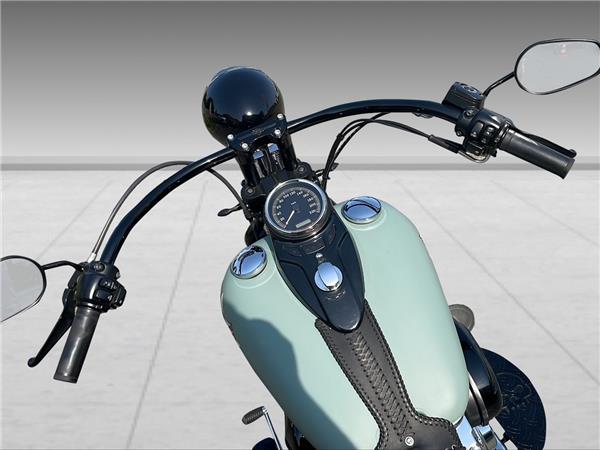 2009 harley-davidson FLSTSB Cross Bones