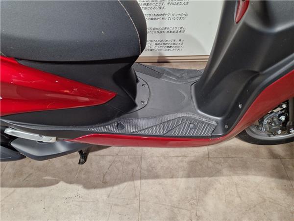 2024 YAMAHA DELIGHT 125