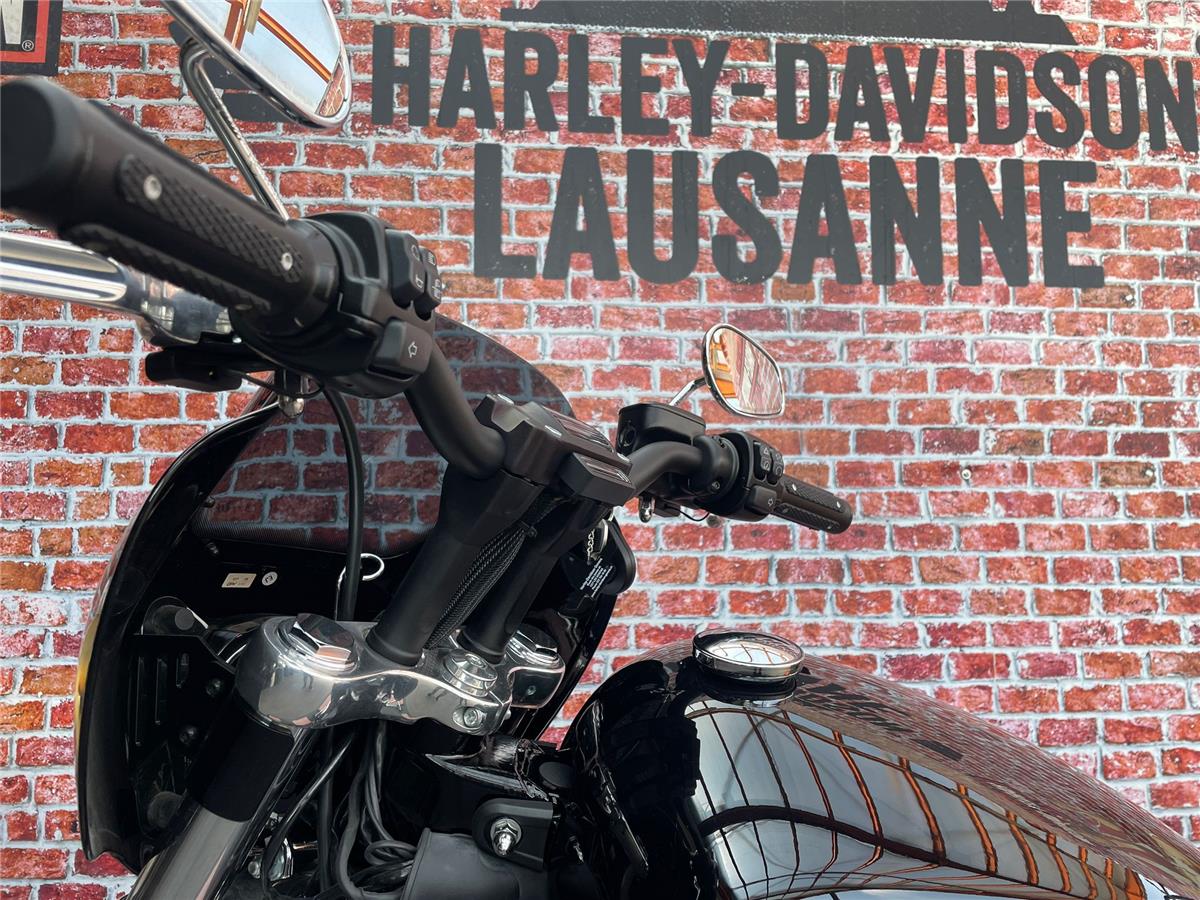 2022 harley-davidson FXST Softail Standard 107