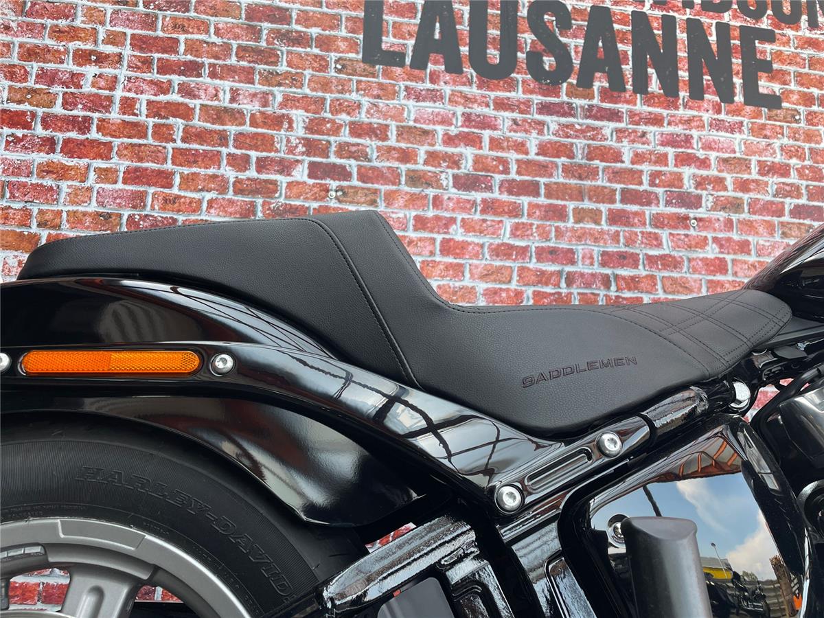 2022 harley-davidson FXST Softail Standard 107