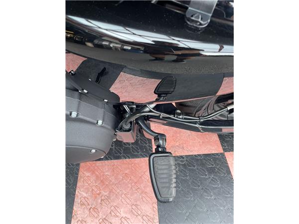 2020 harley-davidson XL 1200 NS Iron ABS