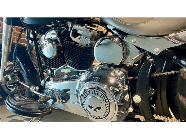 2015 harley-davidson FLS Softail Slim ABS