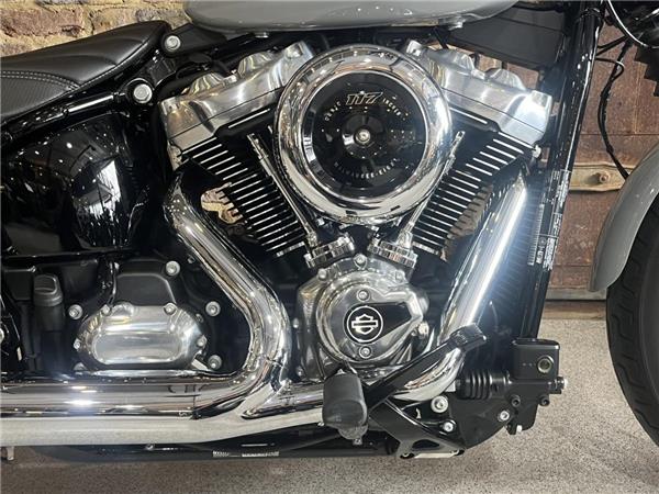 2025 Harley-Davidson Softail